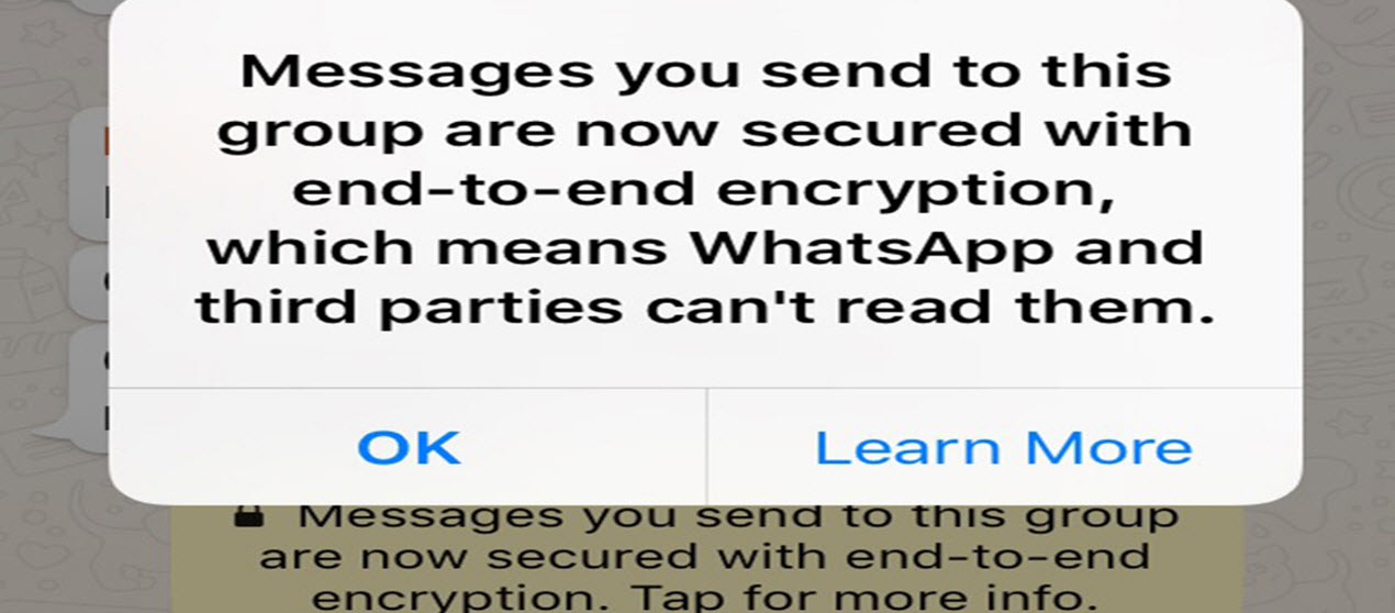 Using WhatsApp To Send Encrypted Message