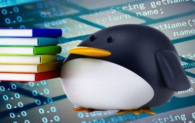 Linux 4.6 boosts container security, adds OrangeFS support