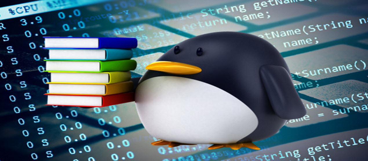Linux 4.6 boosts container security, adds OrangeFS support