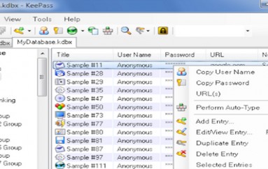 KeePass Vulnerability Lets Attackers Steal Passwords (But Don’t Expect It To Be Patched)