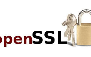 OpenSSL to Patch High Severity Vulnerability