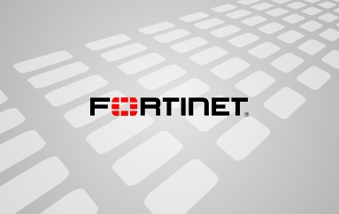 Several Vulnerabilities Found in Fortinet Load Balancers