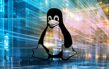 Linux Vulnerability Could Lead to DDoS Attacks