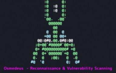 Osmedeus – Fully Automated Offensive Security Tool for Reconnaissance & Vulnerability Scanning