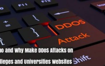 Who and Why Make DDoS Attacks on The Site of Colleges and Universities?