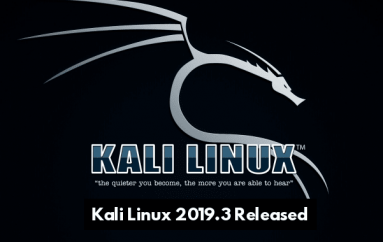 Kali Linux 2019.3 Released With New Hacking Tools, Helper Scripts and Metapackages