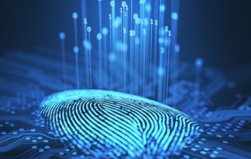Artificial Fingerprint Ring Could Combat Biometric Data Theft