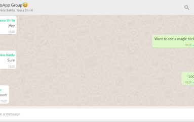A WhatsApp Bug Could Have Allowed Crashing of All Group Members