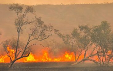 Aussie Bushfires Donation Site Hit by Magecart Thieves