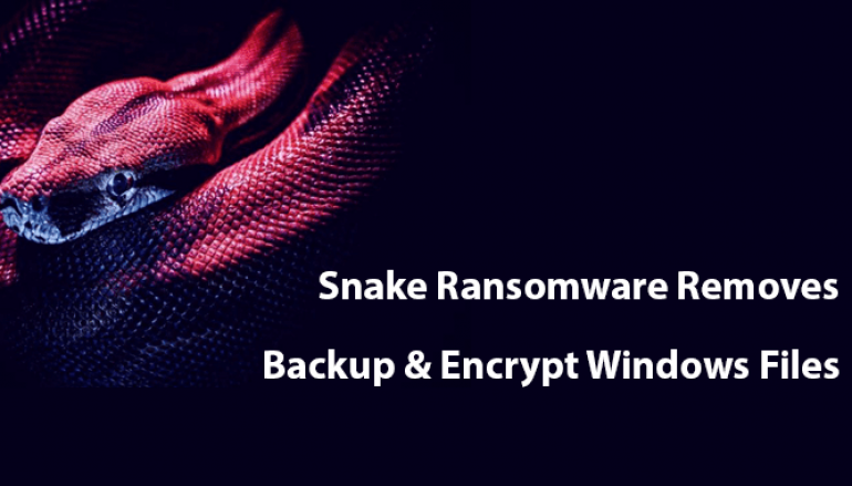 Snake Ransomware That Written in Golang Language Removes Backup Shadows Copies & Encrypt Windows Files