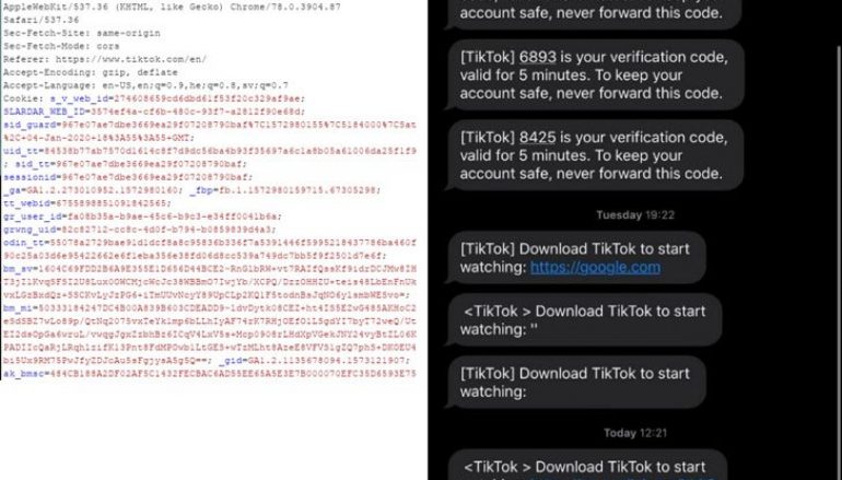 Security Flaws Allowed Hijacking Any TikTok Account