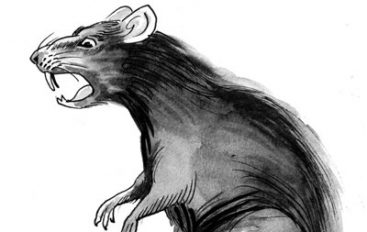 Microsoft Warns of “Massive” #COVID19 RAT