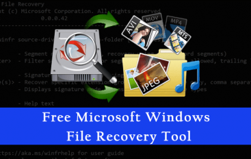 Accidentally Deleted an Important File? Free Microsoft Windows File Recovery Tool Help You to Recover Data