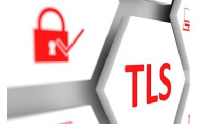 TLS and VPN Flaws Offer Most Pen Tester Access