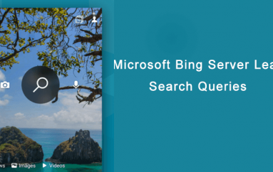 Microsoft Bing Server Leaks Search Queries, Location Data, and Device Details