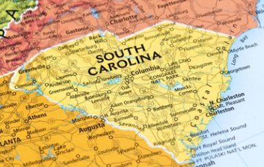 South Carolina Plans Cyber-Ecosystem